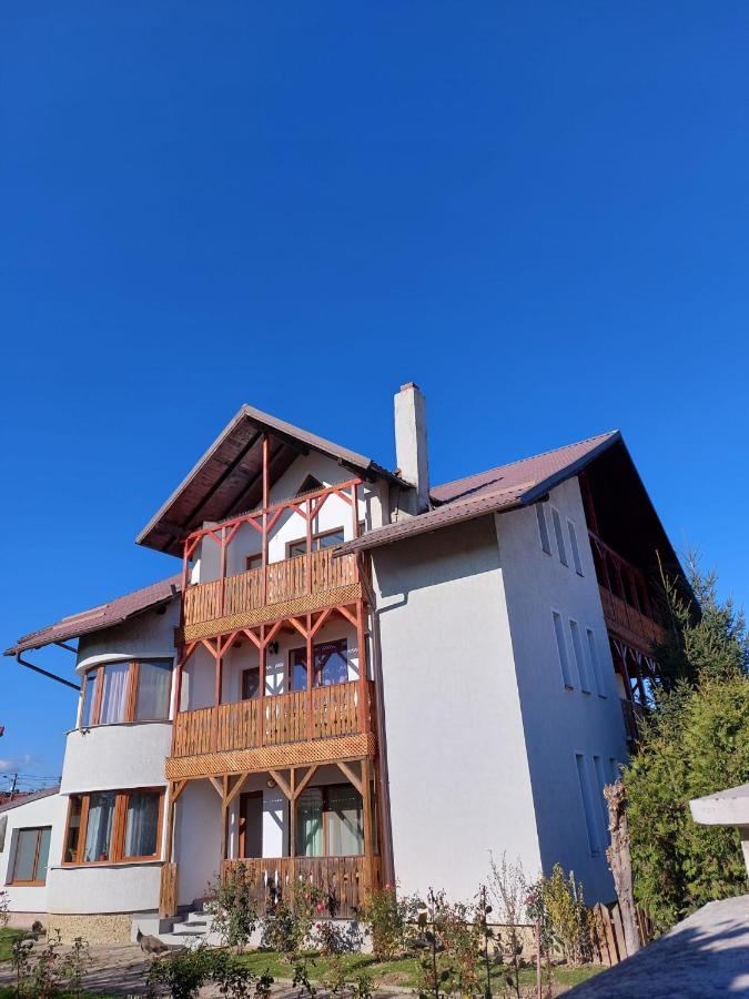 Pensiunea Vera Rîşnov Buitenkant foto